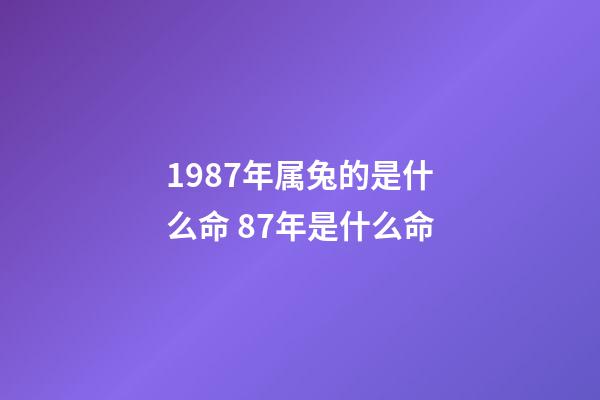 1987年属兔的是什么命 87年是什么命-第1张-观点-玄机派